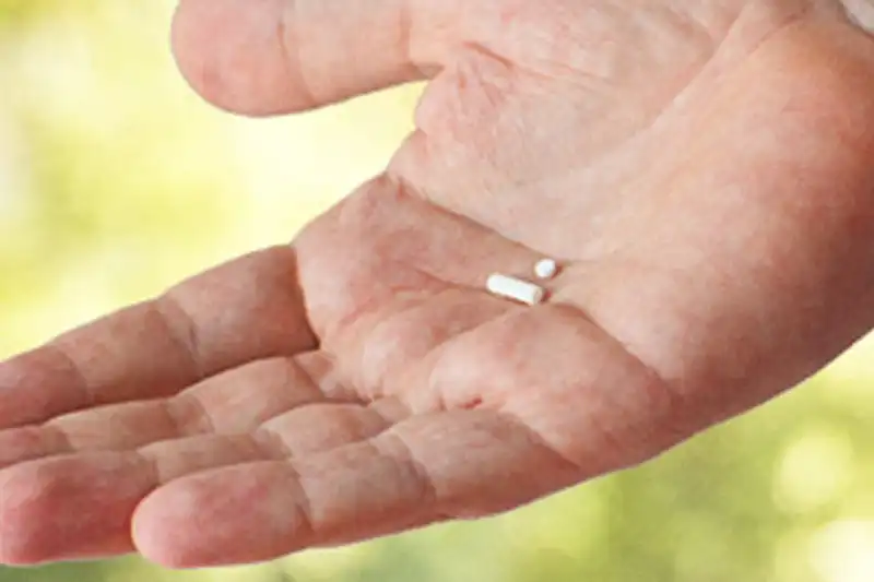 Hormone Pellet Laying on Palm of Hand