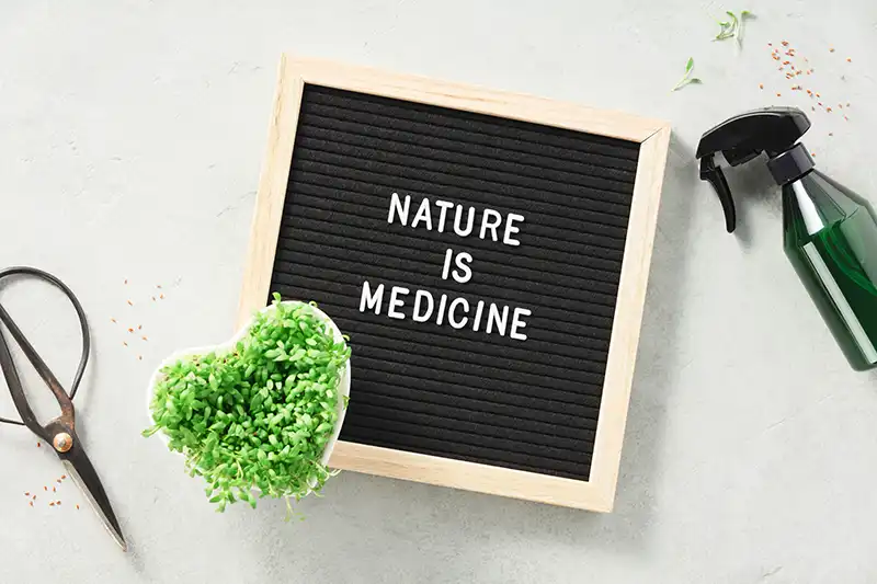 nature is medicine letter board and micro greens