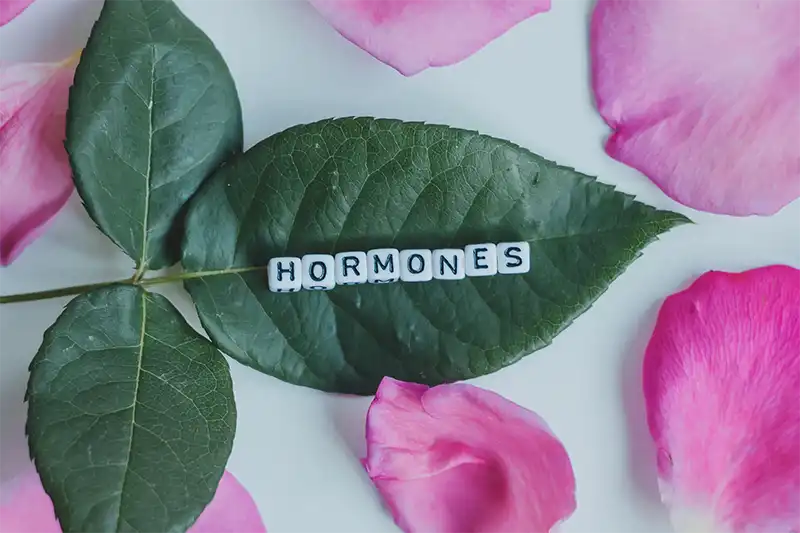 rose petals and leave and the word hormones to promote hormone therapy